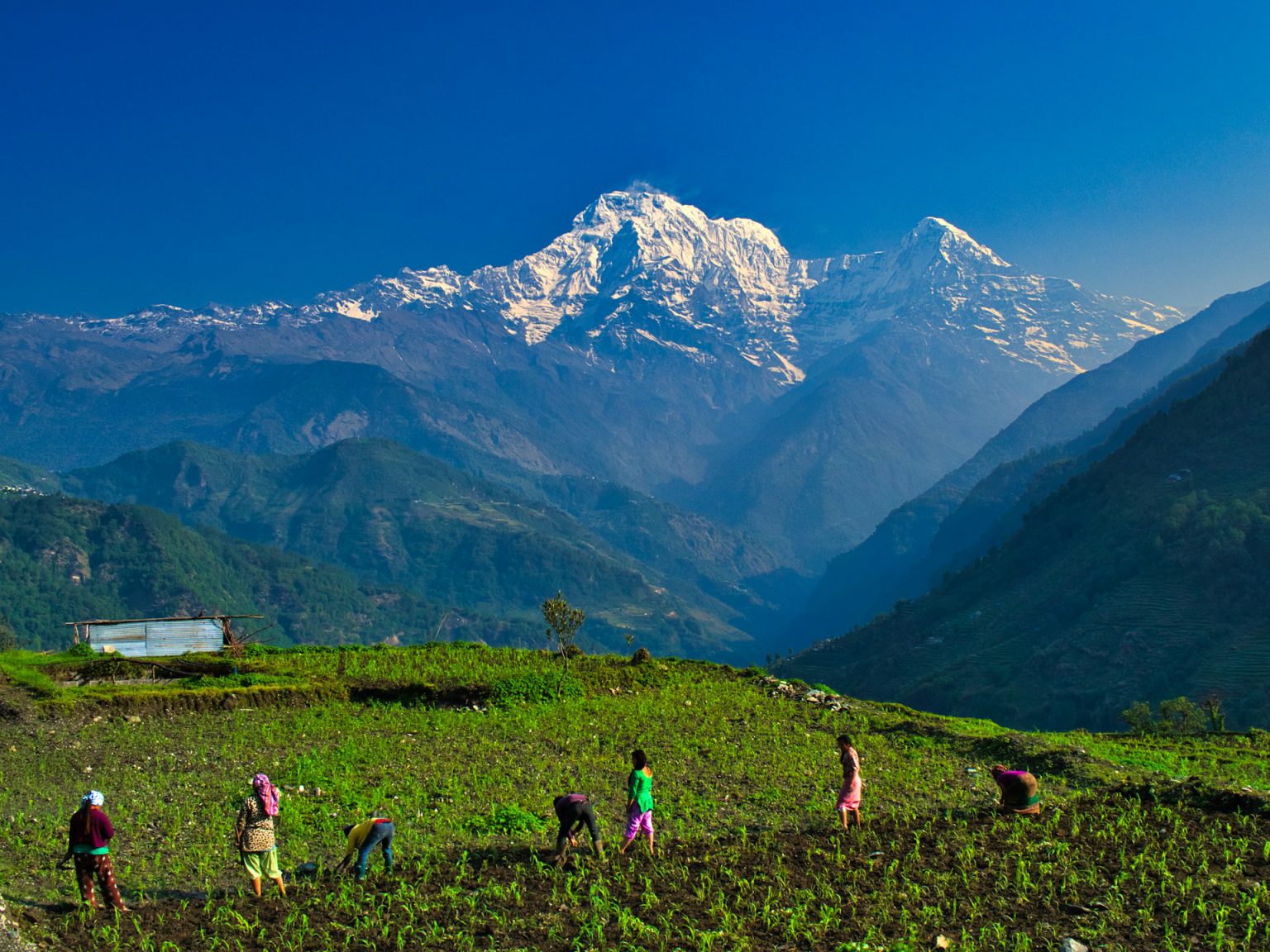 Annapurna Region