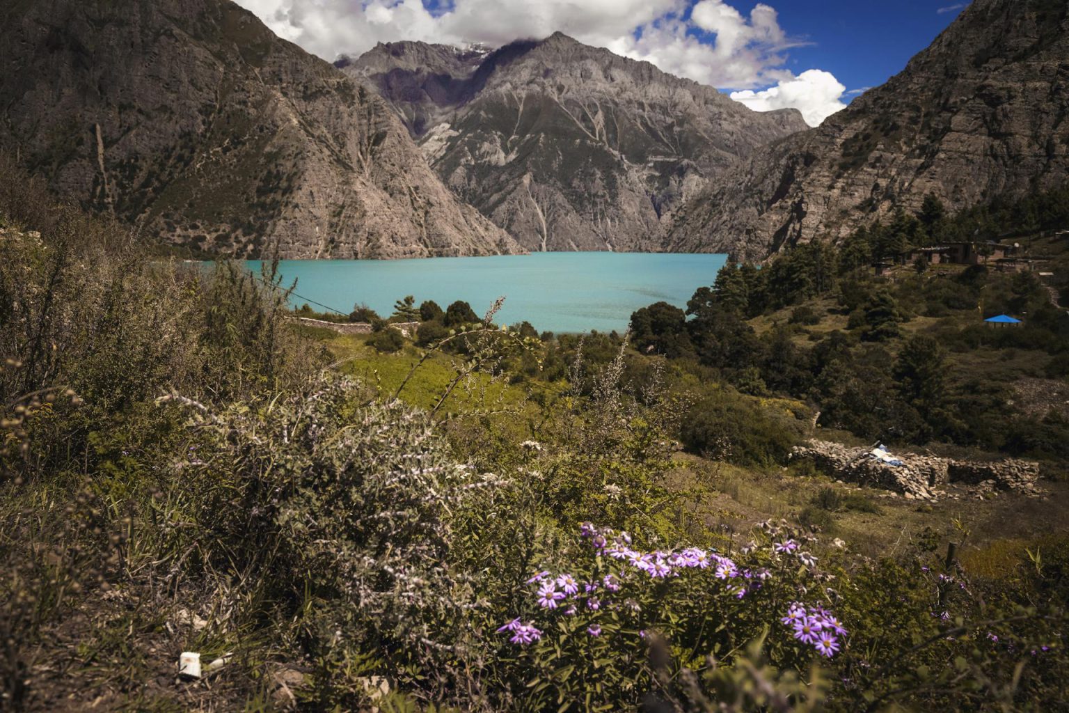 Dolpa Region