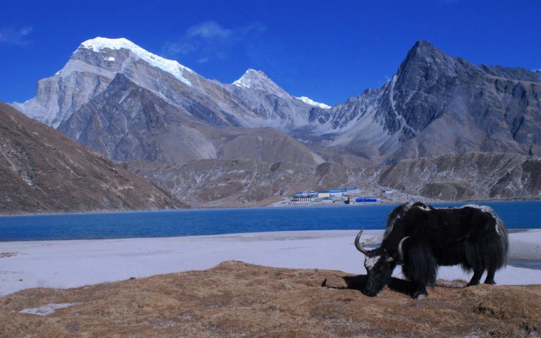 Gokyo Valley Trekking